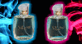 PERFUME IMPORTADO FEMININA .